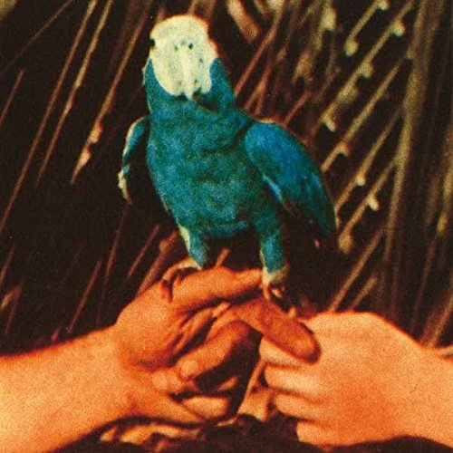 Album Art for Are You Serious by Andrew Bird