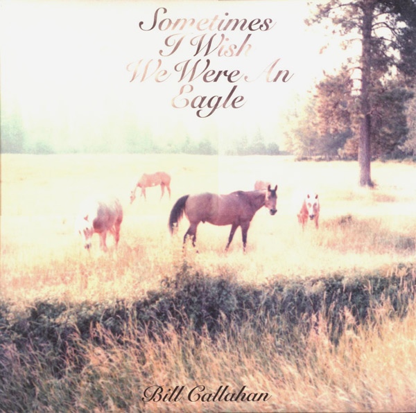 Album Art for Sometimes I Wish We Were An Eagle by Bill Callahan