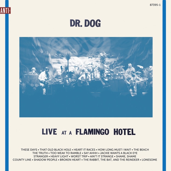 Album Art for Live At A Flamingo Hotel by Dr. Dog