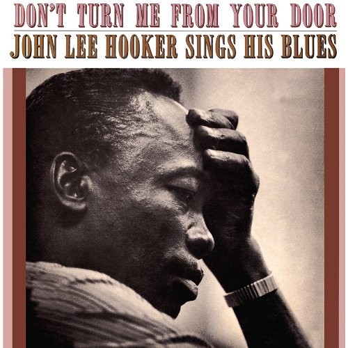 Album Art for Don't Turn Me From Your Door by John Lee Hooker